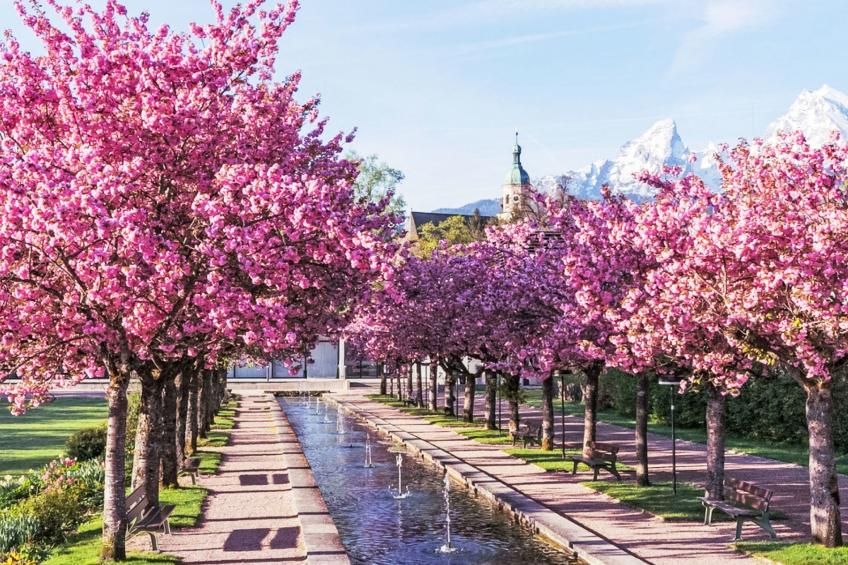 Buchenhöhe - foto 24