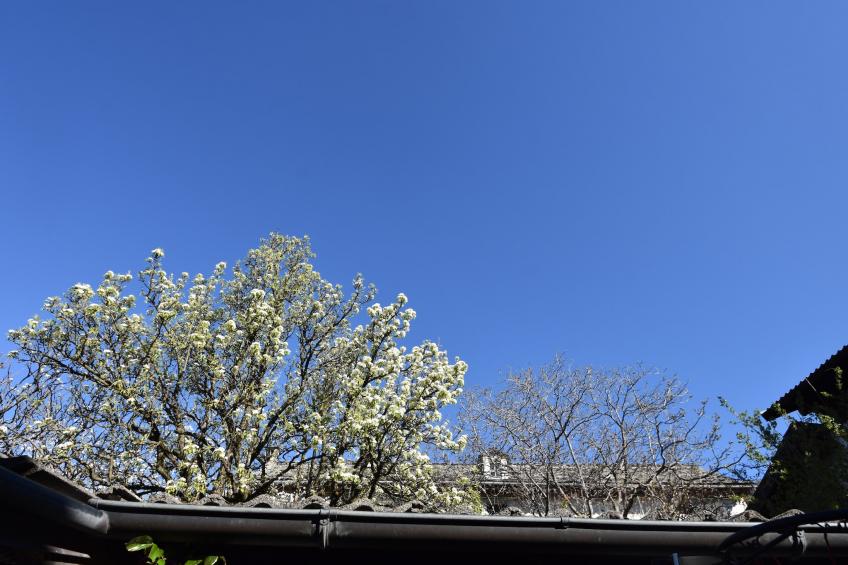 Casa Labirinto - foto 25