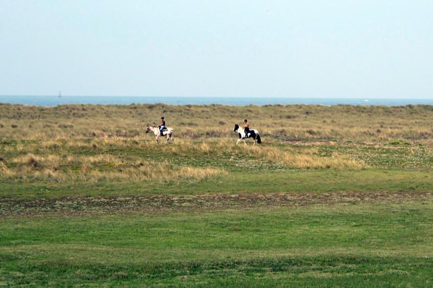 Maison Edgar Luce - foto 18