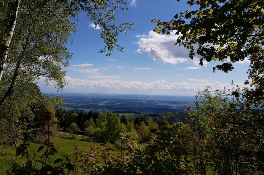 Charmante Wohnung in Langfurth mit Kleinem Balkon - foto 18