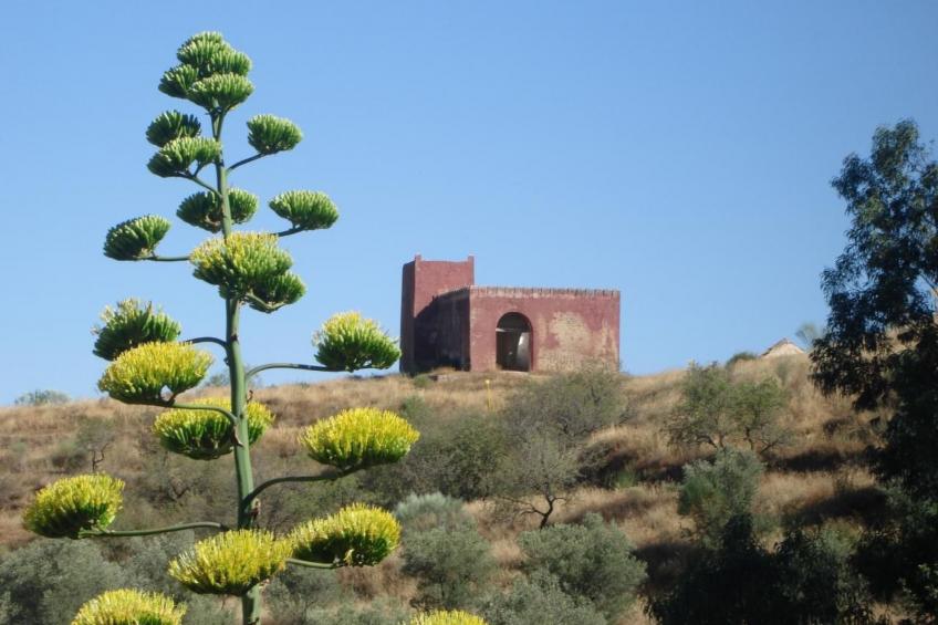 Gemütliches Ferienhaus in Tíjola mit Grill, Garten und Terrasse - foto 34