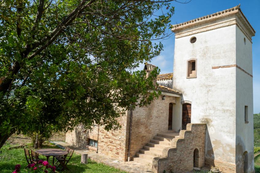 Torretta - foto 28