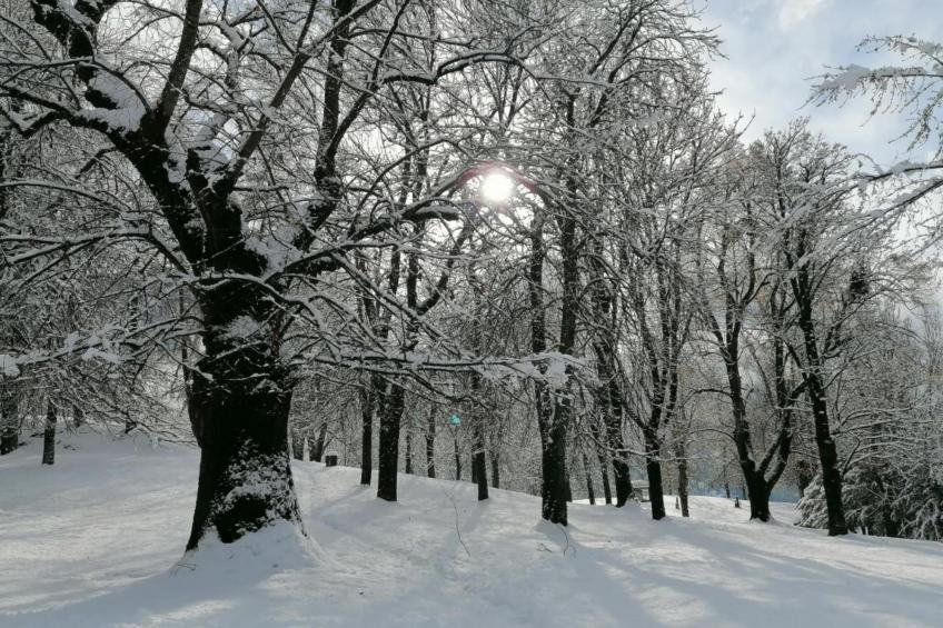 Residence Le Plejadi - foto 26