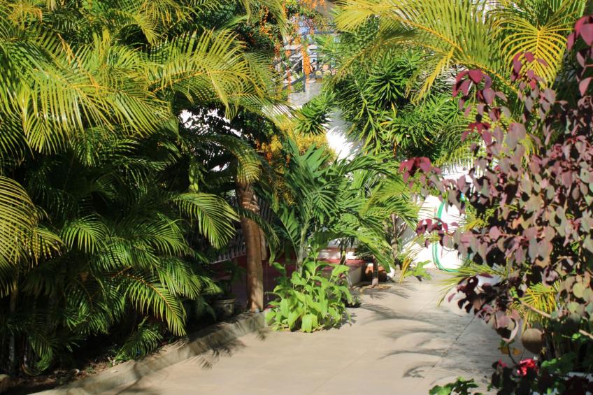 VIllakapy Ideal für Rentnerinnen und Rentner - foto 27