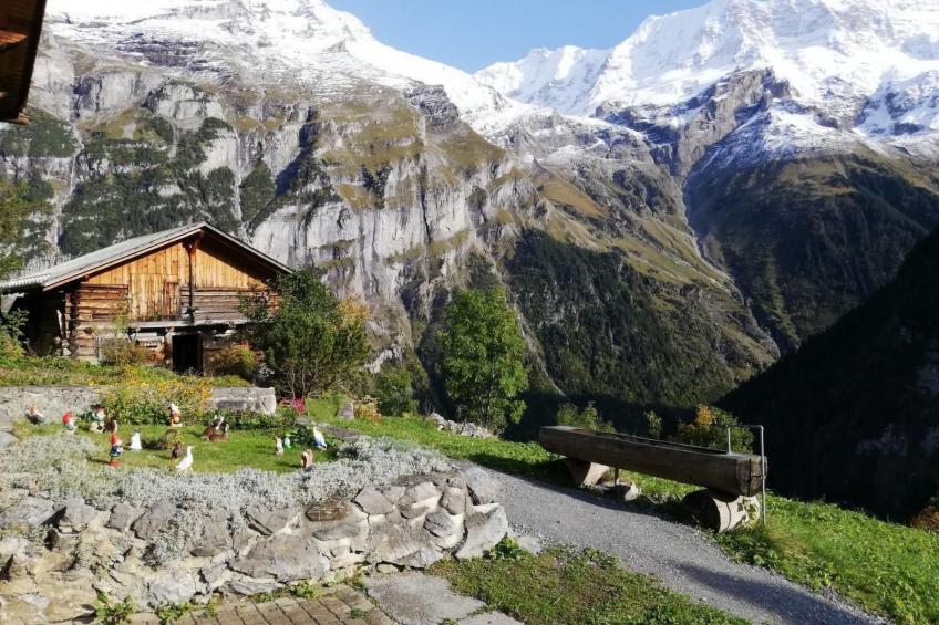 mit Bergblick - foto 27