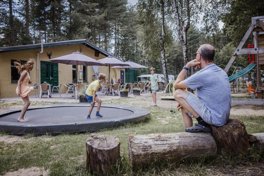 Sijs - foto 13