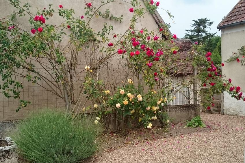 Maison le Pressoir in Vallières-les-Grandes - foto 3