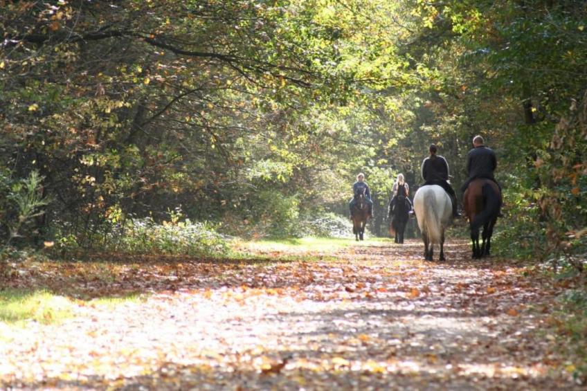 Mosterthoeve - foto 36