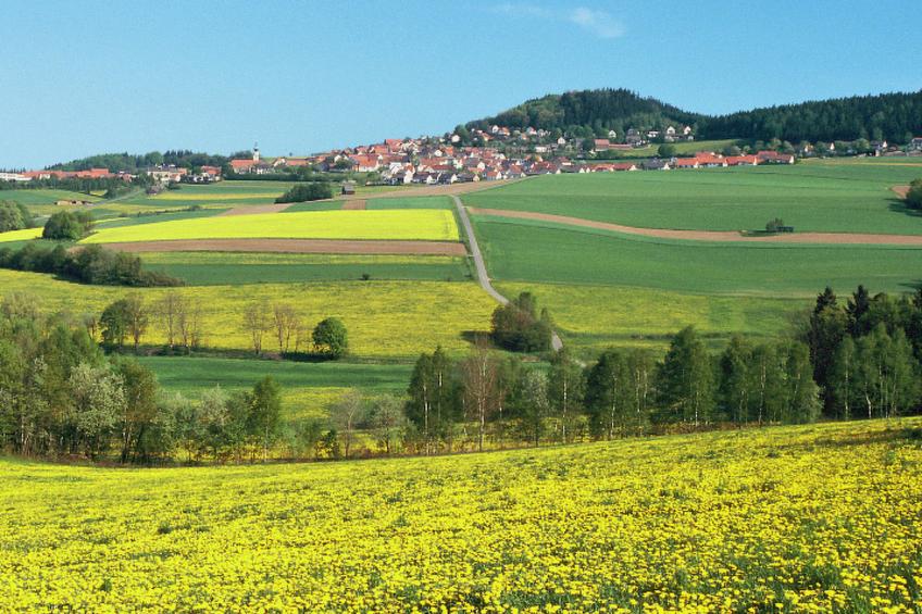 in Gleiritsch mit Grill - foto 11