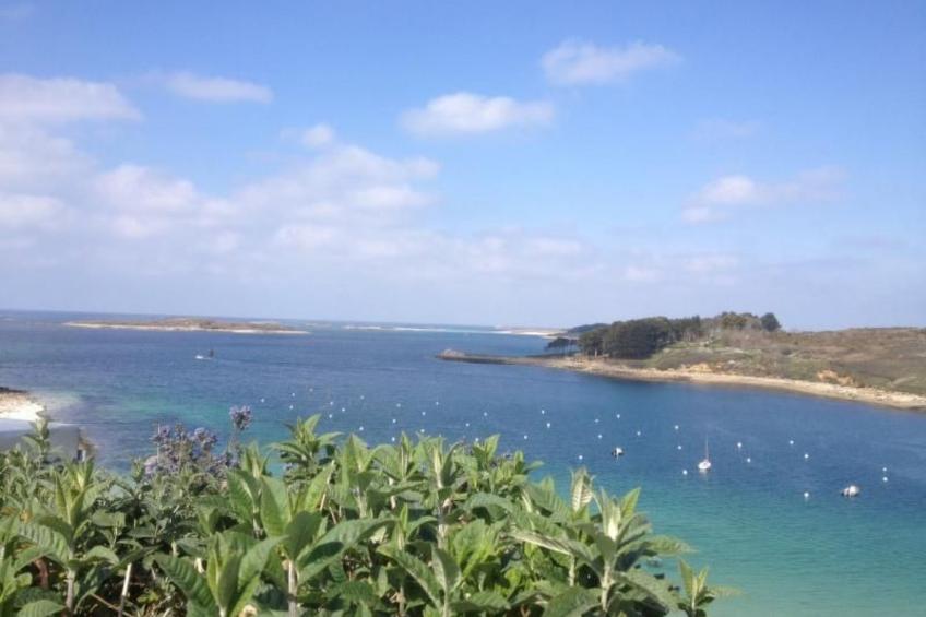 Ebenerdiges Haus am Meer - foto 9