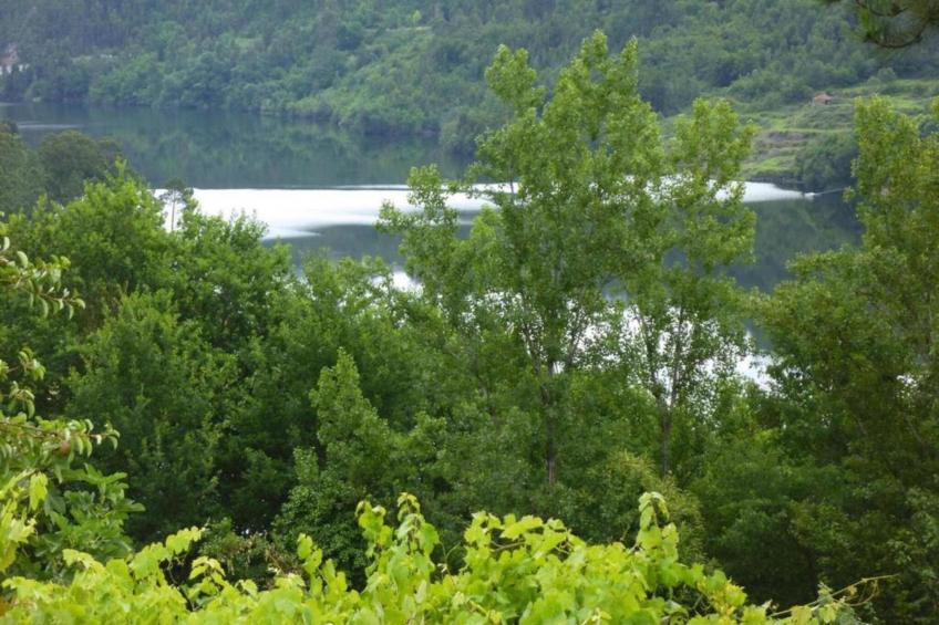 Casa das Laranjeiras - foto 29