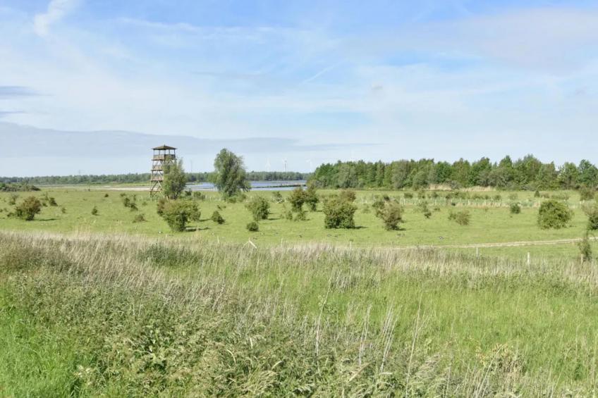 Poldergeluk - foto 14