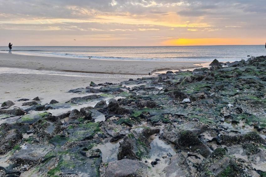 Appartementenhuis Andrea, Westerland - Type D - foto 12