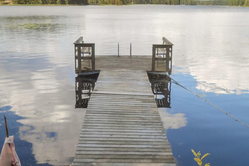 Palkinniemi - foto 6