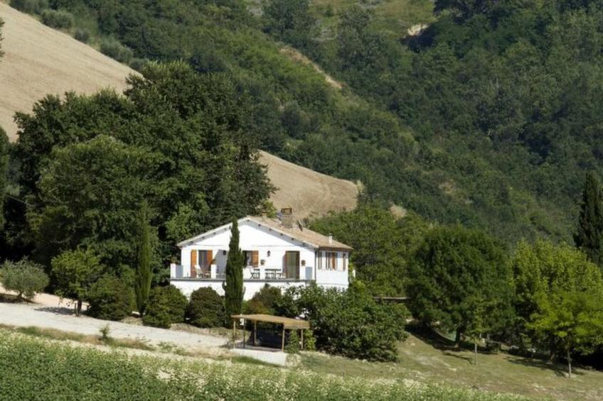 Villa La Picena - foto 49