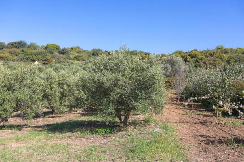 Villa Filia in Prines - foto 27