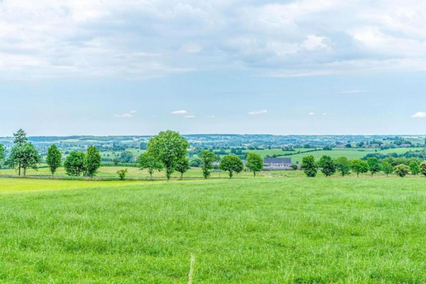 Apartament Nemojov A - foto 38