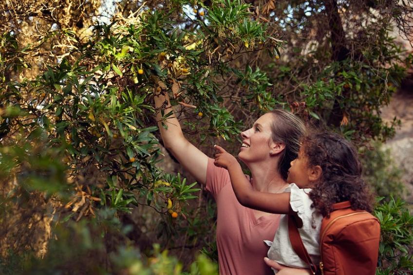 Appartement  Les Terrasses d'Arsella - foto 34