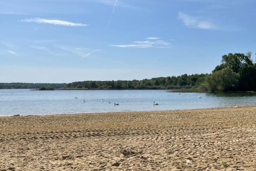 "chalet a giffaumont" klimatisiert am LAC DU DER - foto 15