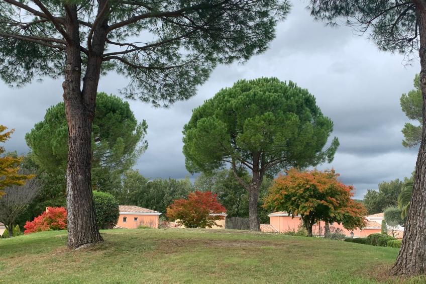 Wohnung in Mougins mit Gepflegtem Garten - foto 14