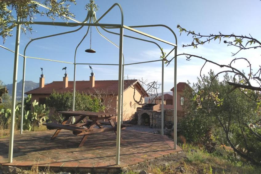 'Suite Ficodindia - foto 45