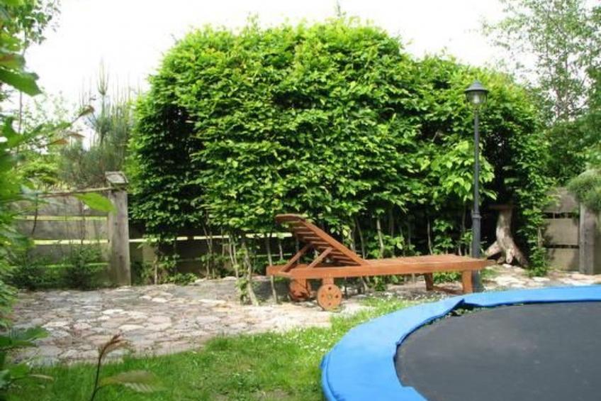 "Sunshine Apartment" - foto 5