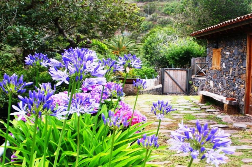 Freistehendes Ferienhaus La Maleza in La Palmita - foto 31