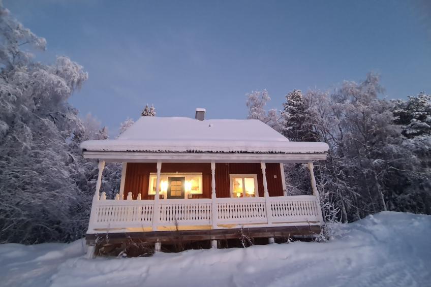 Haus-Lappland - foto 3