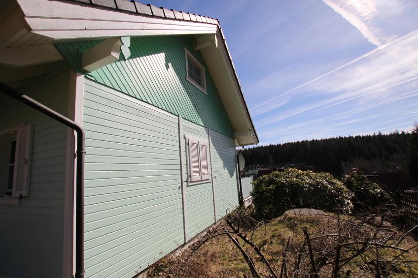Ferienhaus in Tanne - foto 13