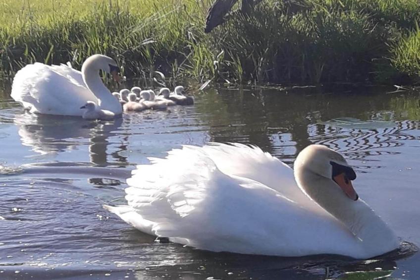 Waterpark Terkaple 1 - foto 32