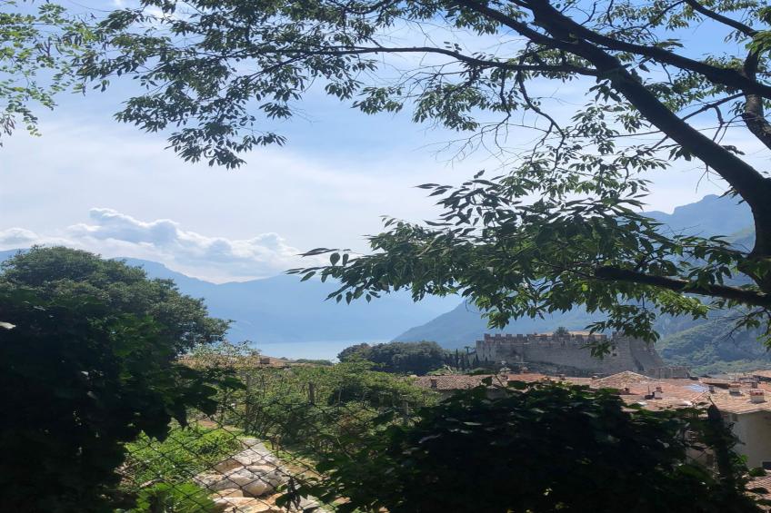 Il Nido dell'Artista - foto 28