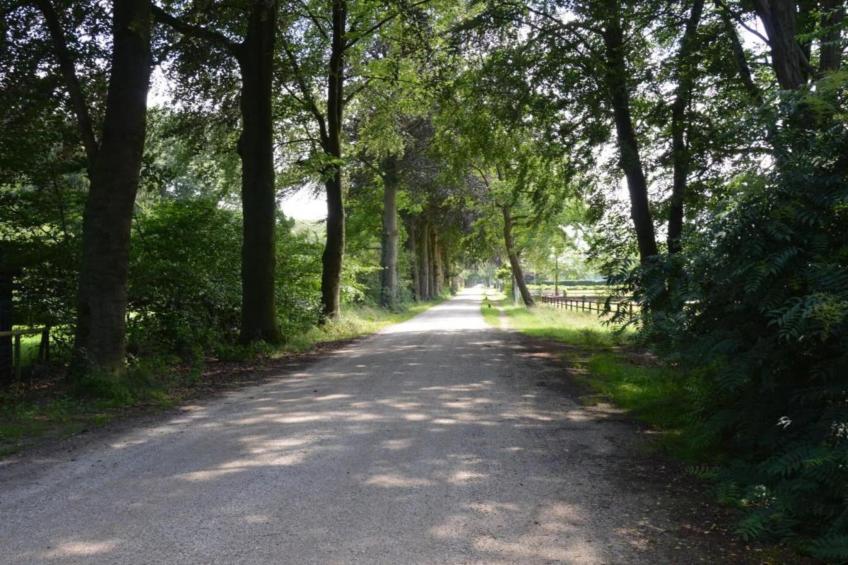 De Weelderik 3 - foto 40