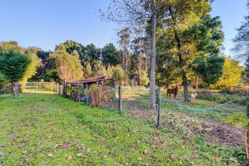 Maison du Moulin in Bauernhof - foto 37