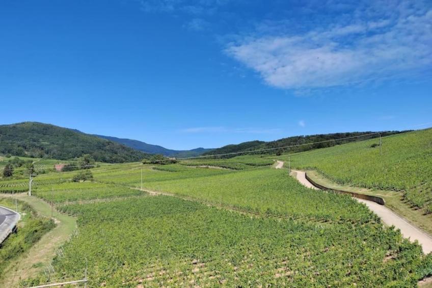 Le Domaine des Rois - foto 34