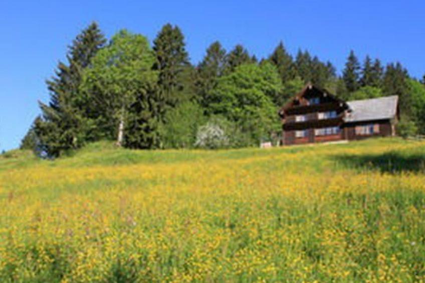 Obere Laui - foto 22