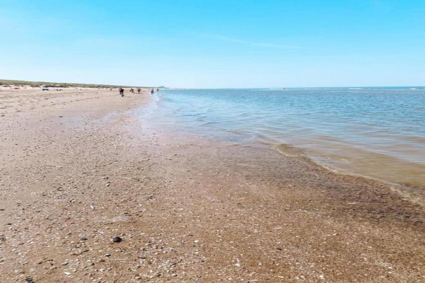 Bungalowpark de Gouden Spar - foto 36