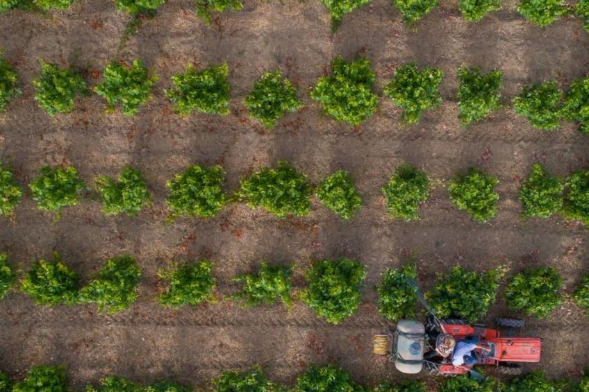 Fantastische Villa Anastasia mit großem Pool - foto 75