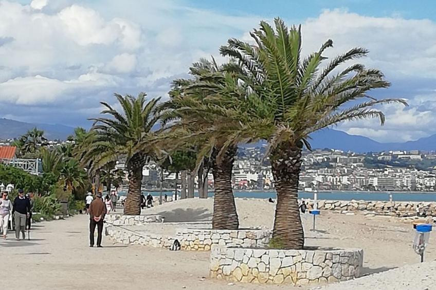 Gemütliche Wohnung, 5 Minuten vom Strand entfernt - foto 18