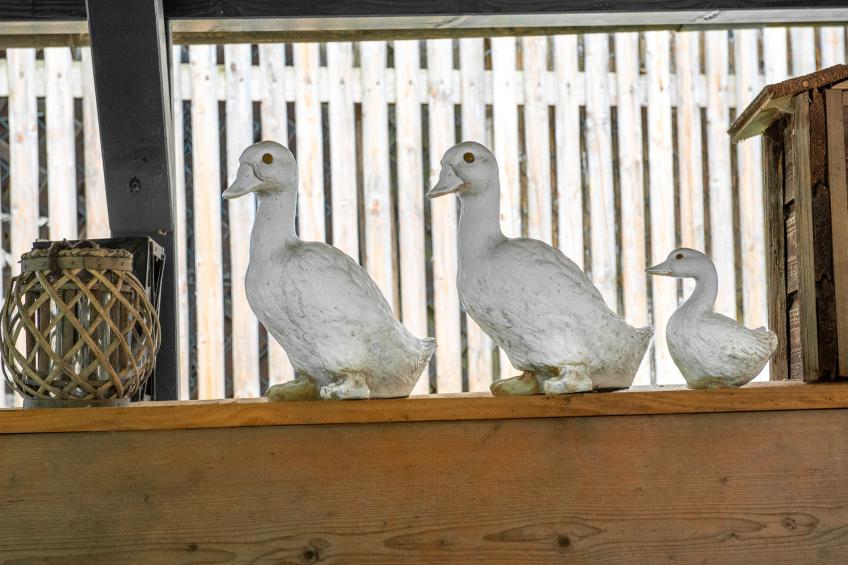 Troadkasten - foto 13