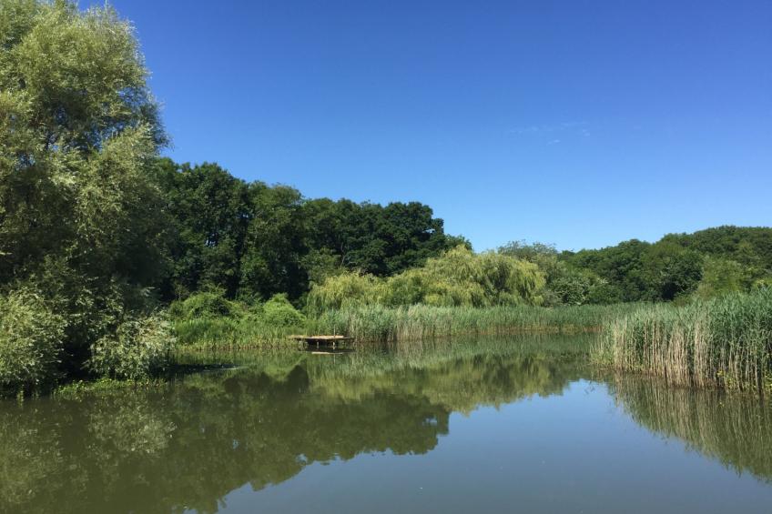 New Park Farm - foto 50