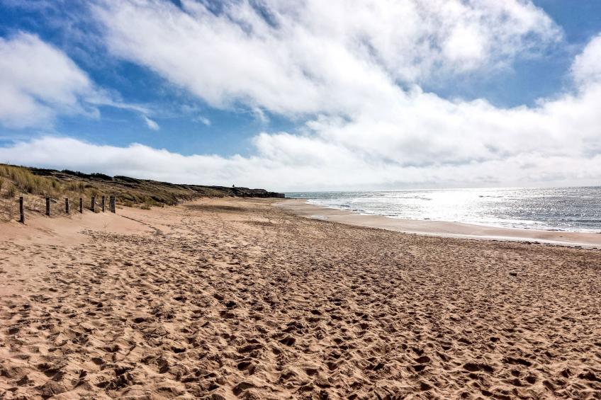 Villa Océan et Forêt - foto 33