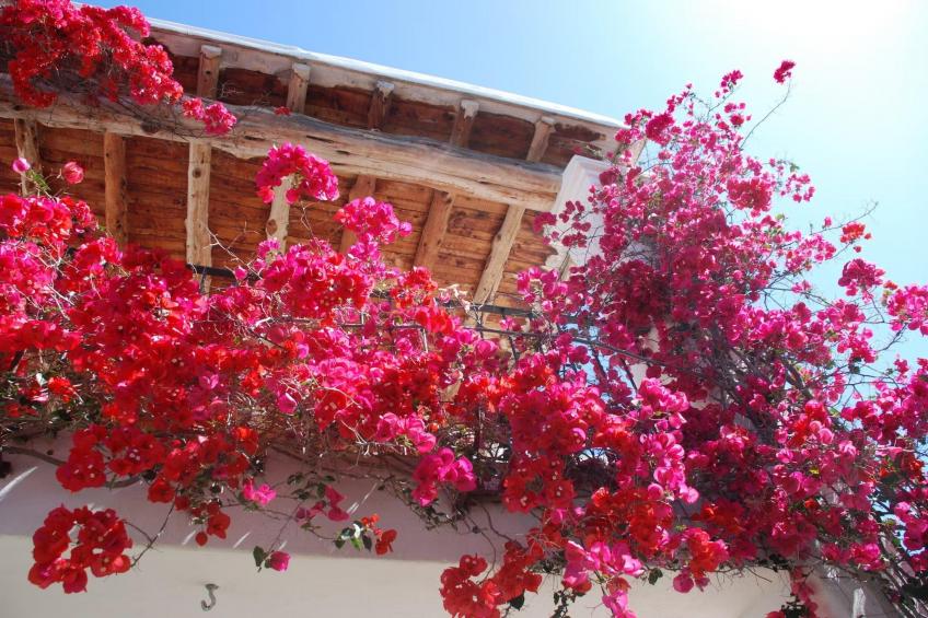 Villa Chia - foto 6
