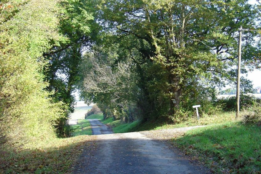 "Gite du Moulin de la Croix" (Ferienhaus der Kreuzmühle) - foto 35