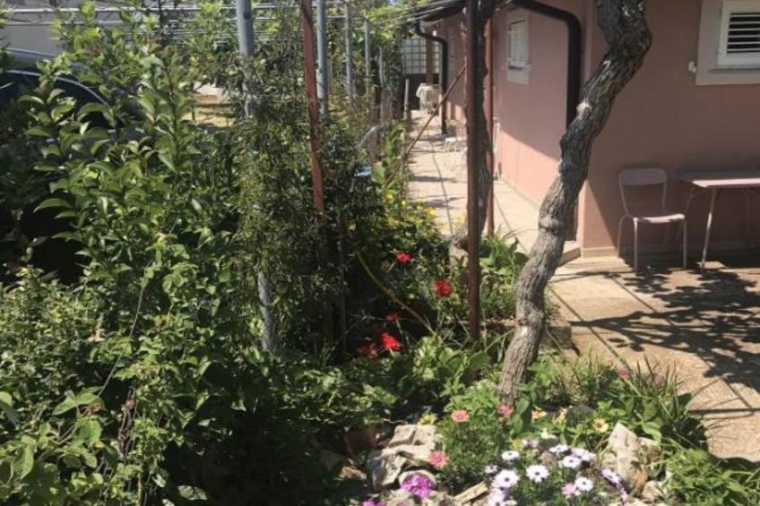 Apartmani Stefanija - Studio With Garden View - foto 9