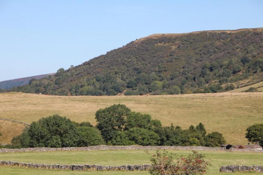 Westcote Cottage - foto 19