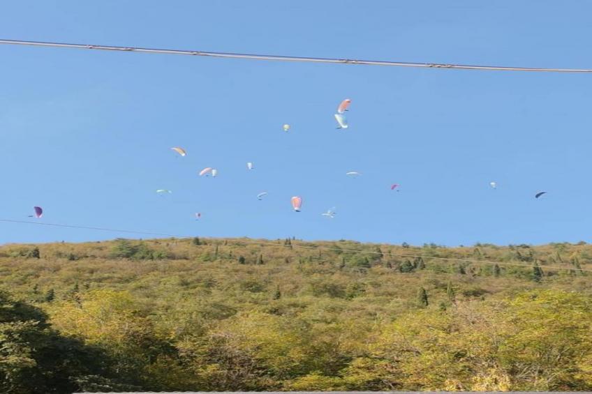 Villa Fiorita Tre - foto 29