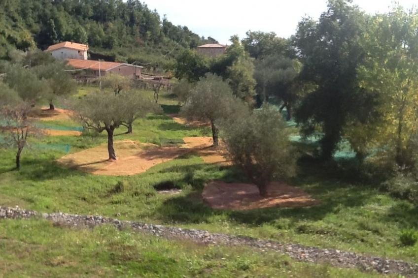 Ferienvilla "Melles" mit privatem Pool - foto 6