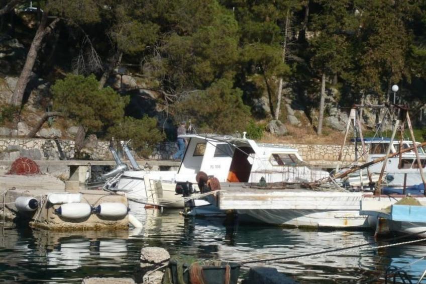 Studio mit Terrasse im ersten Stock des Hauses - foto 8