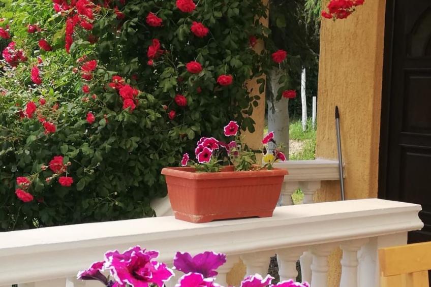 Hütte mit Garten, Grill und Terrasse - foto 49