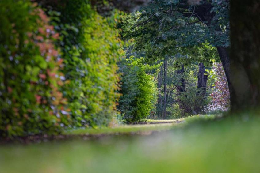 Les Cochettes N°166 - 4P8 - foto 20